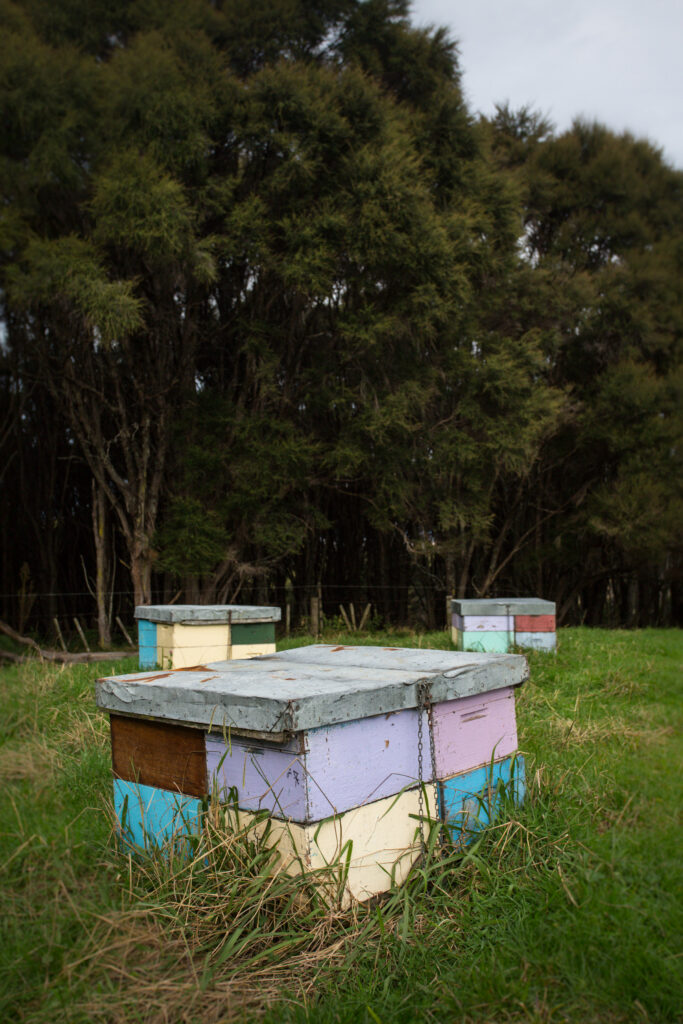 Farm Operations Beehive Boxes Close Up