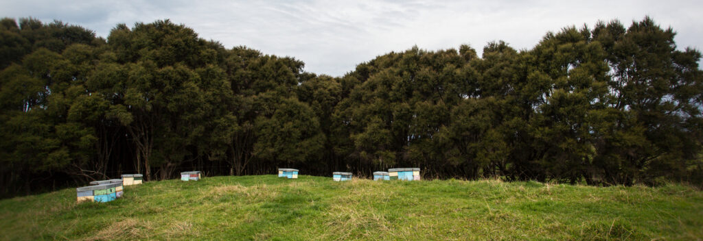 Farm Operations Beehive Row Bush Edge