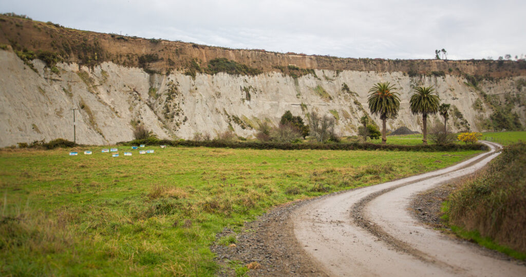 Land Farm Road Cliff Beehives