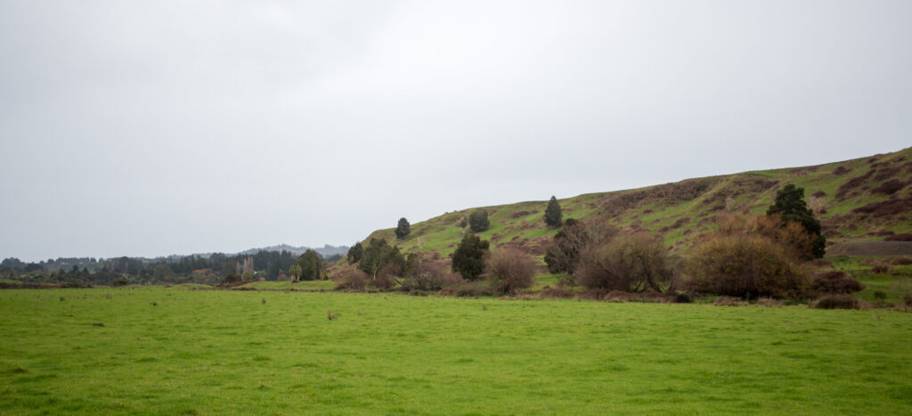 Land Flat Paddock Hill Backdrop