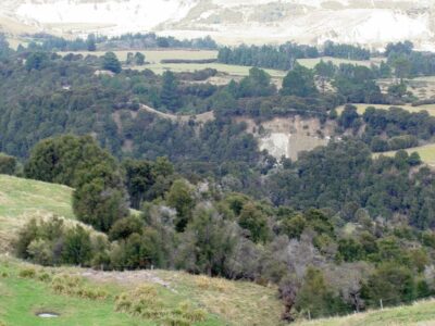 Land Bush Gully Valley View