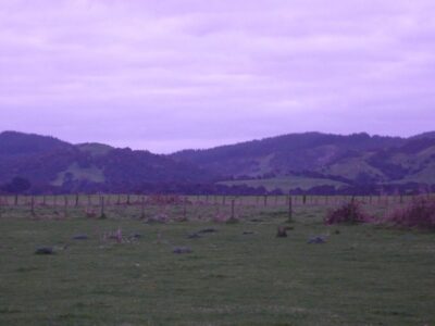Land Dusk Pasture Hill Backdrop
