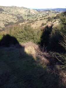Land Hill Country Scrub Valley