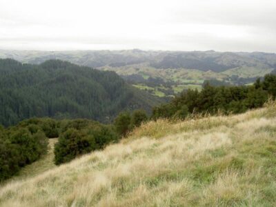 Land Hilltop Plantation Valley View