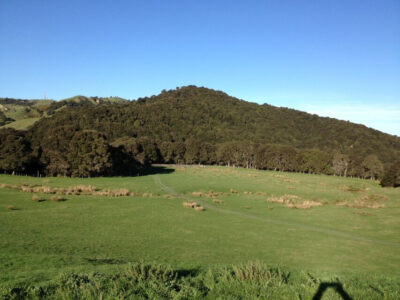 Land Native Bush Hill Clear Sky