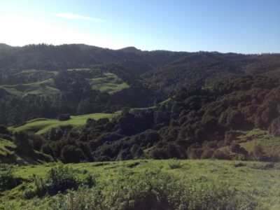 Land Sunny Valley Bush Panorama