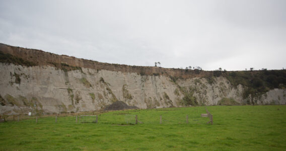 Land White Papa Cliff Full Face