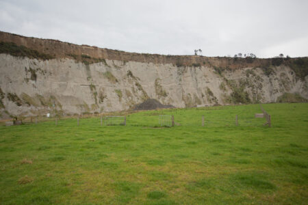 Land White Papa Cliff Paddock Portrait